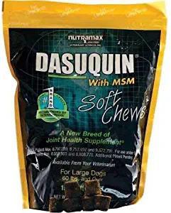 Nutramax Dasuquin with MSM Soft Chews