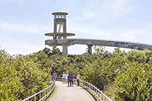 Everglades National Park, Florida - Shark Valley Observation Tower A-9001076 (36x54 Giclee Gallery Print, Wall Decor Travel Poster)