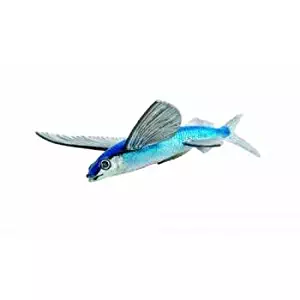 Safari LtdIncredible Creatures Flying Fish