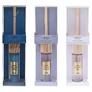 DW Home 3.5 oz. Scented Reed Diffuser Collection (Sea Salt & Marine)