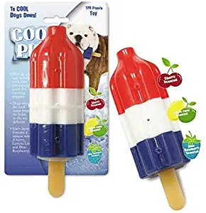 Cool Pup Dog Toy Rocket Pop Ice Cream Popsicle Shaped Frozen Water Summer Toys
