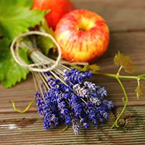 crafts-n-more-store Lavender Apples & Oak Candle/Soap Fragrance Oil 1oz