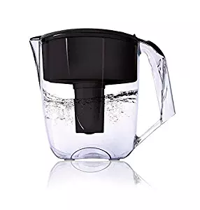 Ecosoft Water Filter Pitcher Jug - BPA-Free - Commercial Grade Ecomix Filter Cleaners with 2 Free Cartridges, for Home & Office Filtration, Black