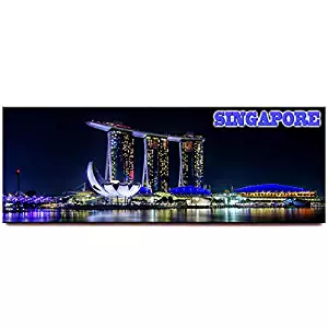 Marina Bay Sands panoramic fridge magnet Singapore travel souvenir