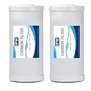 IPW Industries Inc Whole House Big Blue Sediment and Carbon Combinated Water Filter Compatible with FXHTC,GXWH40L,GXWH35F,GNWH38S (10''x4.5''),Fits Universal Big Blue Water Filter System