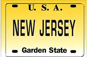 New Jersey License Plate Fridge Collector's Souvenir Magnet 2.5" X 3.5"