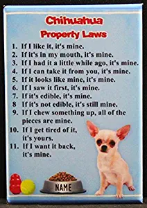 Chihuahua Property Laws Refrigerator Magnet.