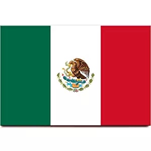 Mexico flag fridge magnet Guadalajara Monterrey Puebla travel souvenir