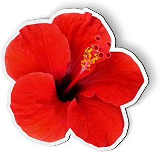 AK Wall Art Red Hibiscus Tropical Flower - Magnet - Car Fridge Locker - Select Size