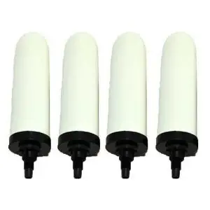 Doulton W9121200 7 Super Sterasyl Ceramic Filter Candle - Pack of 4 by Doulton