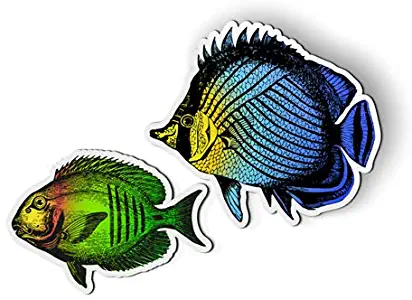 AK Wall Art Tropical Fish Colorful Set of 2 - Magnet - Car Fridge Locker - Select Size