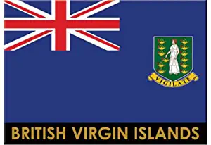 British Virgin Islands Tortola Flag Caribbean Fridge Collector's Souvenir Magnet 2.5" X 3.5"