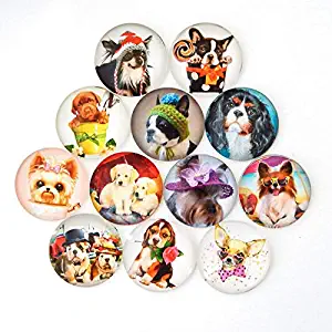 Dog Refrigerator Magnet Party Set of 12 Pack 3D Round Face For Silver Fridge Office Dry Erase Board Stainless Steel Door Freezer Whiteboard Cabinet Magnetic Great Fun for Adult Girl Boy Kid
