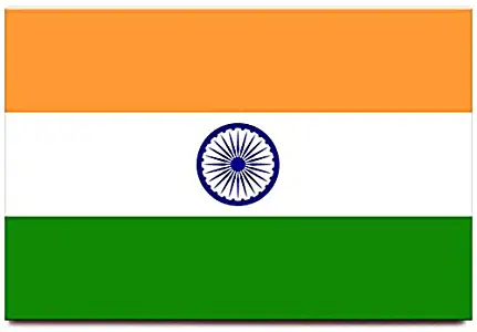 India flag fridge magnet Delhi Agra travel souvenir