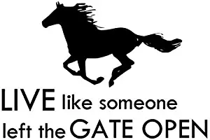 bulnn Wall Stickers Art Decor Live Like Someone Left The Gate Open Horse Cowboy Quote Vinyl Decal 56X38Cm