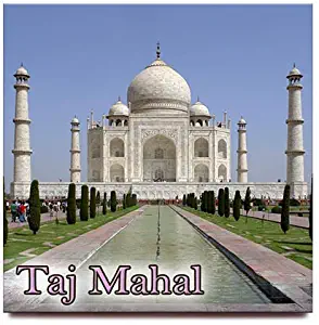 Taj Mahal fridge square magnet Agra India travel souvenir