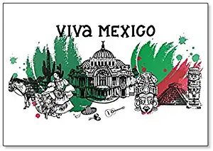 Viva Mexico with Mexican Themed Icons and Illustrations Classic Fridge Magnet