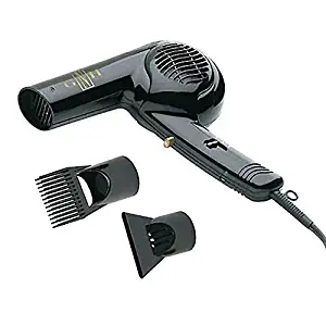 Gold 'N Hot Professional 1875-Watt Dryer with Styling Pik