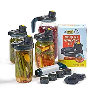 My Mason Makes - Fermentation Kit - A Mold Free Fermenter for Easy Pickling, Storing, Pouring - Includes 4 Multi Purpose Lids, Fermenting Caps, Recipe Book, Extractor Pump + Bonus Accessories
