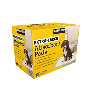 Kirkland Signature Extra-Large Absorbent Pads, 100 Large Pads, 30x23 (Original Version)